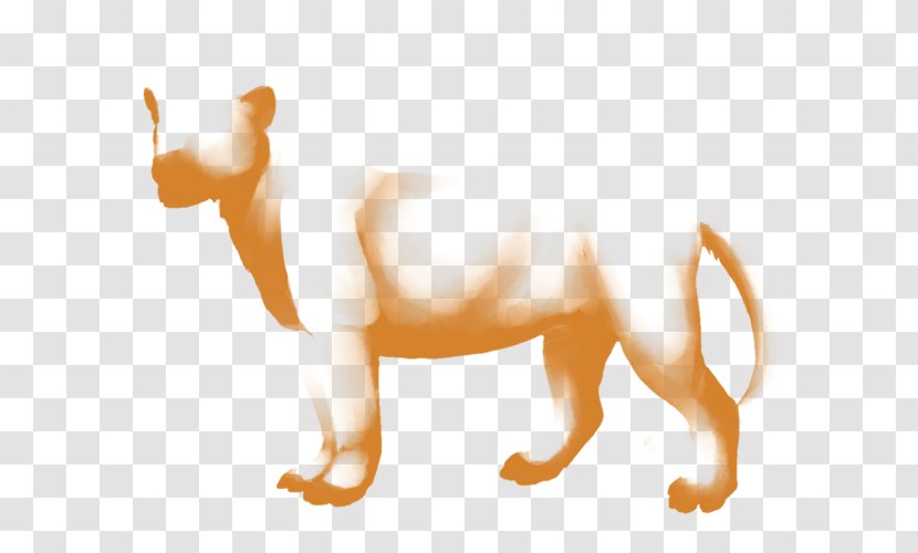 Lion Dog Mane Big Cat - Like Mammal Transparent PNG