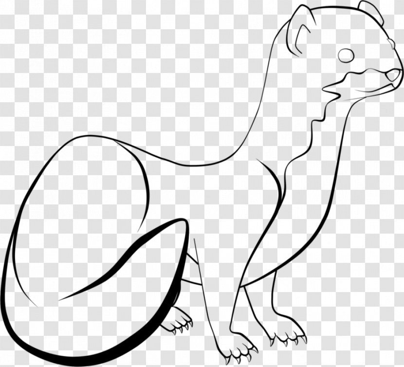 Whiskers Stoat Drawing Long-tailed Weasel Line Art - Frame - Cat Transparent PNG