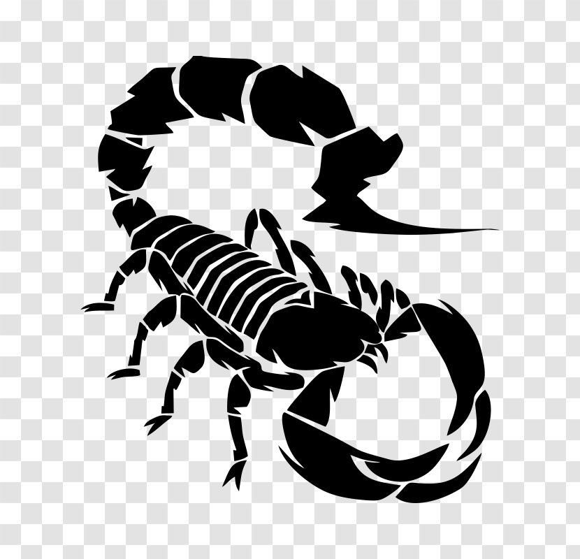 Scorpion Drawing Royalty-free Clip Art - Invertebrate Transparent PNG