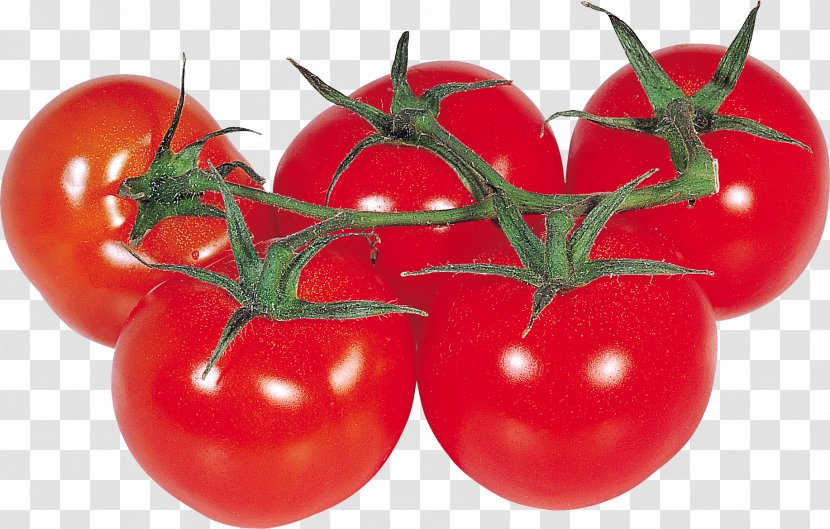 Cherry Tomato Fried Green Tomatoes Vegetable Clip Art - Fruit Transparent PNG