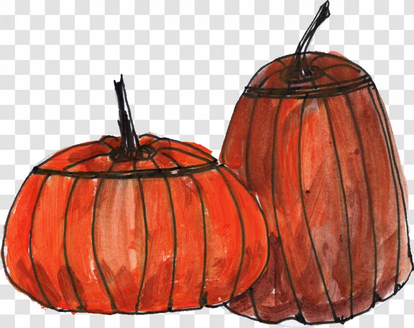 Pumpkin Drawing Line Art Cucurbita Clip - Halloween Transparent PNG