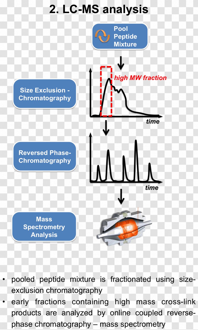 Zentrum Fuer Molekulare Biologie, University Of Heidelberg Cross-link Mass Spectrometry Interactome Immunoprecipitation - Proteinprotein Interaction - Spectrometer Transparent PNG