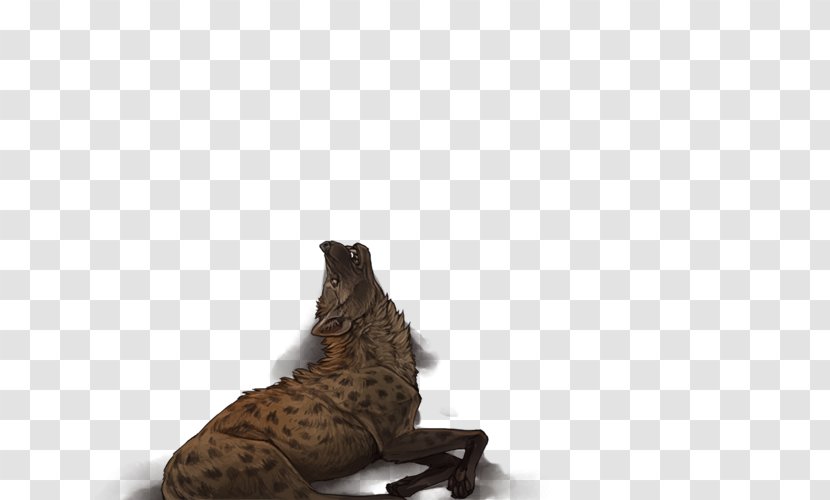 Cat Hyena Lion Fur Whiskers Transparent PNG