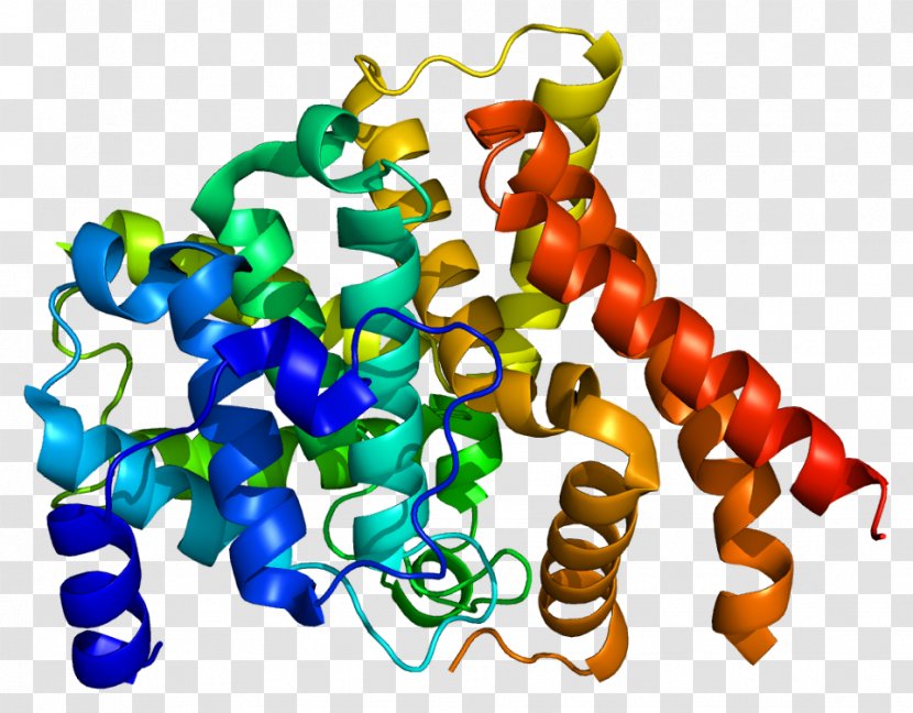 Fosfodiesterasa 5 CGMP-specific Phosphodiesterase Type Cyclic Guanosine Monophosphate Enzyme - Watercolor - Estructura De Panal Transparent PNG