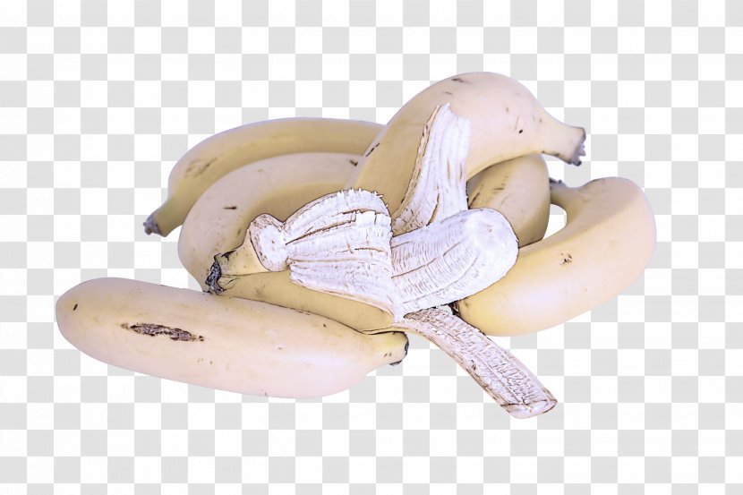 Banana Family Beige Pleurotus Eryngii Agaricus - Food Mushroom Transparent PNG
