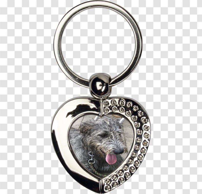 Key Chains Keyring Hedgehog Gift - Body Jewelry Transparent PNG