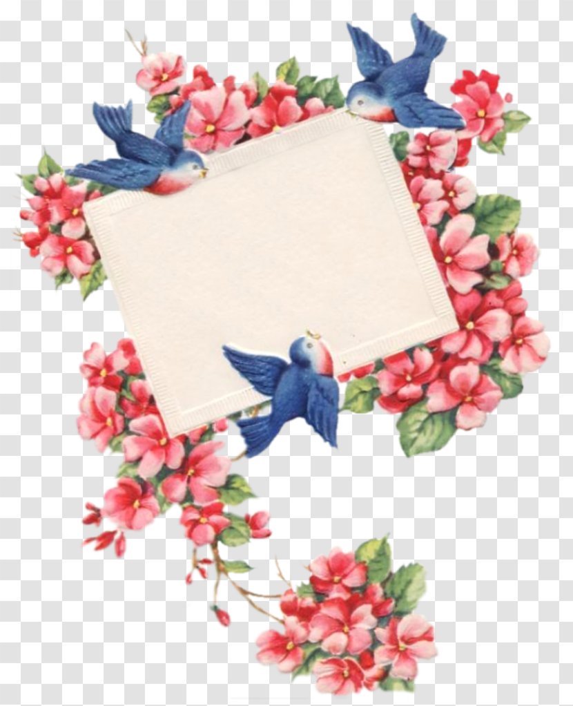 Floral Design Cut Flowers Petal Transparent PNG