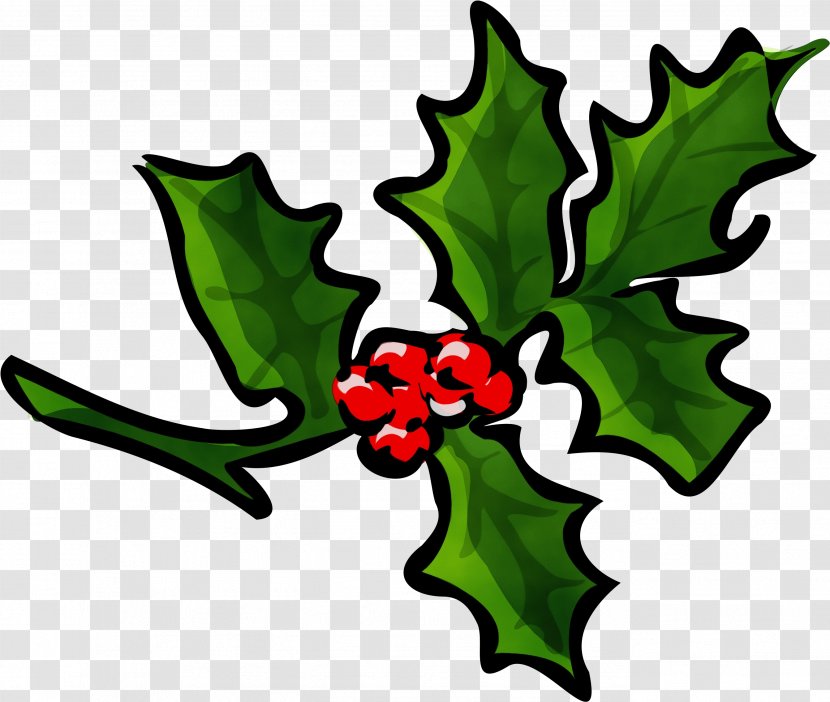 Holly - Watercolor - Plane Tree Transparent PNG