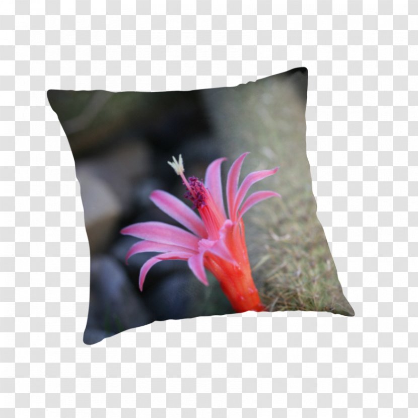 Cushion Throw Pillows Flower - Pillow Transparent PNG