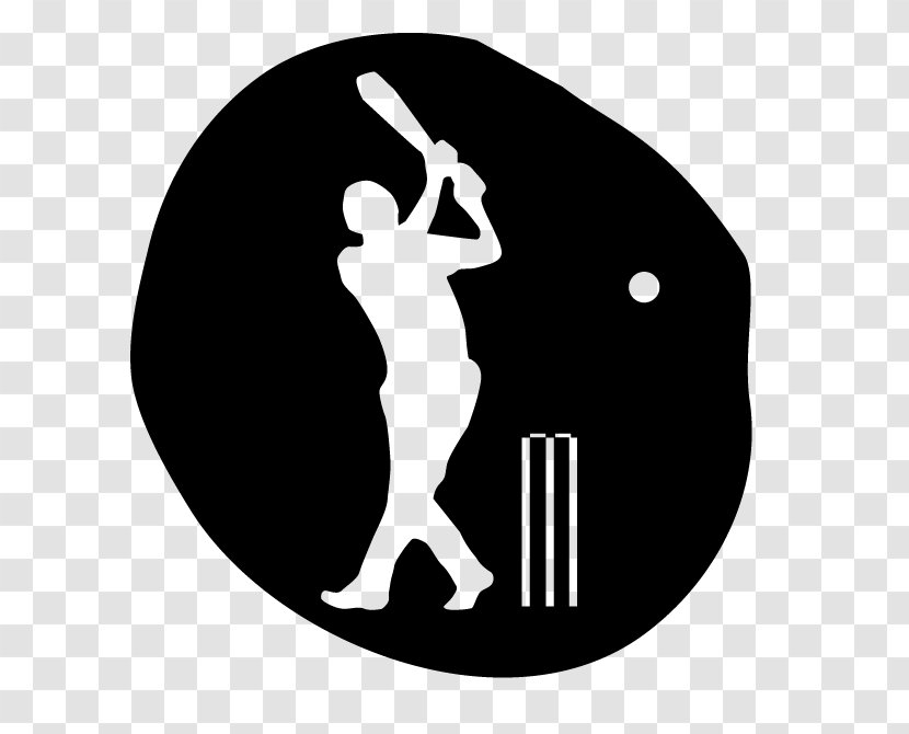 Cricket Live Line - Sport - Cricflame Ball By Google PlayCricket Academy Banner Transparent PNG
