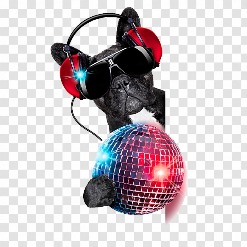 Dog Stock Photography Nightclub Disc Jockey Disco - Musical Canine Freestyle - Colored Ball Transparent PNG