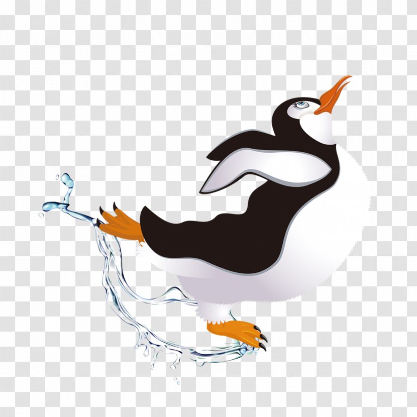 Penguin Dance - Razorbills Transparent PNG