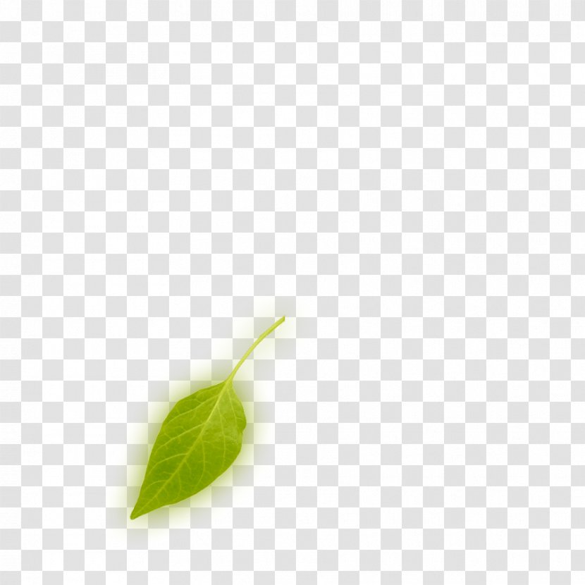 Leaf Plant Stem - Destroy Environmental Sanitation Transparent PNG