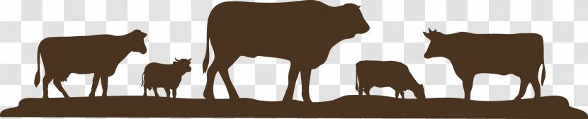 Charolais Cattle Beef Feeding Commodity Chain Intensive Animal Farming - Industry - Brand Transparent PNG