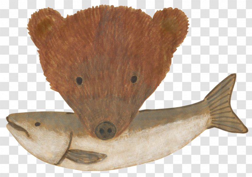 Carnivora Snout - Kuma Transparent PNG