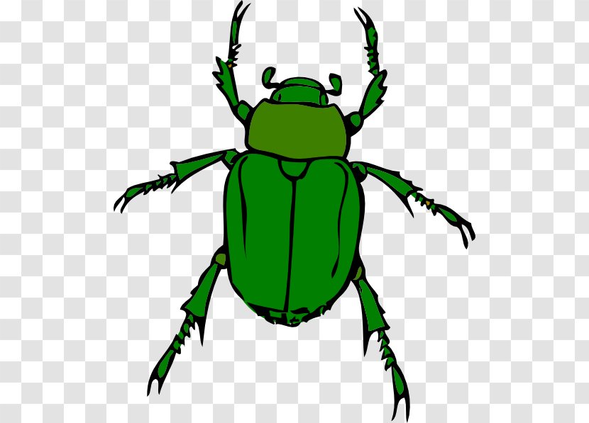 Beetle Free Content Clip Art - Tree Frog - Cliparts Transparent PNG