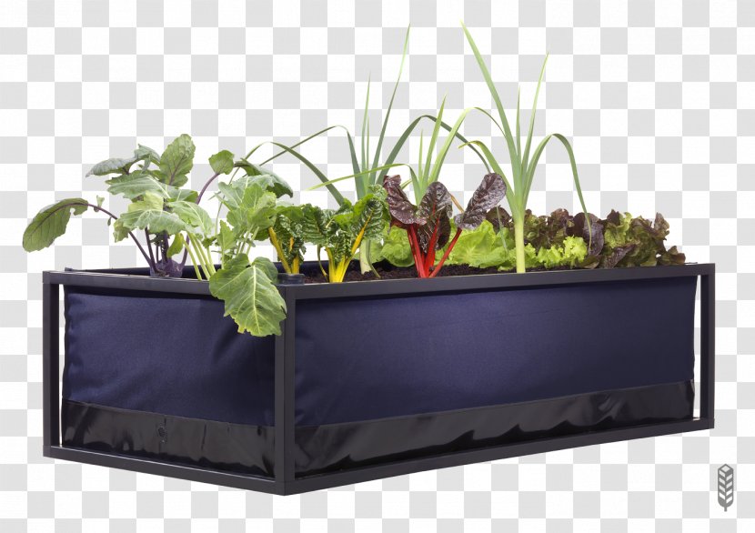 Watering Cans Irrigation Market Garden Urban Agriculture - Tool - City Transparent PNG