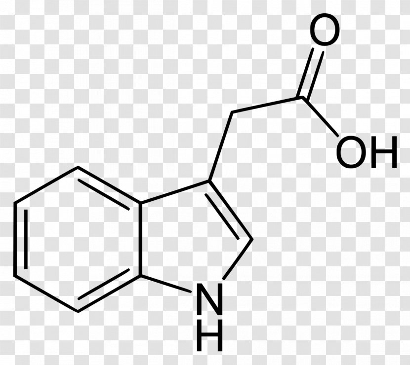 Indole-3-acetic Acid Indole-3-butyric Auxin Plant Hormone - Frame Transparent PNG
