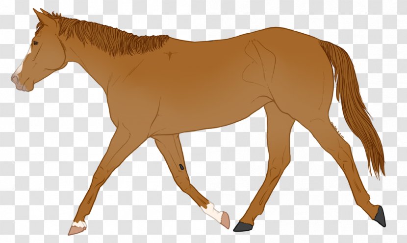 Horse Illustration Pony Vector Graphics Carriage - Mammal Transparent PNG
