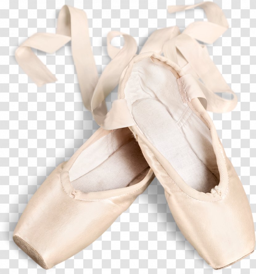 Ballet Flat Shoe Dancer - Cartoon Transparent PNG