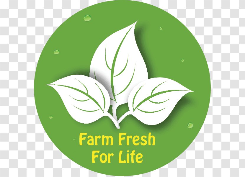 Health Food Raw Foodism Milk - Flower - Farm Fresh Transparent PNG