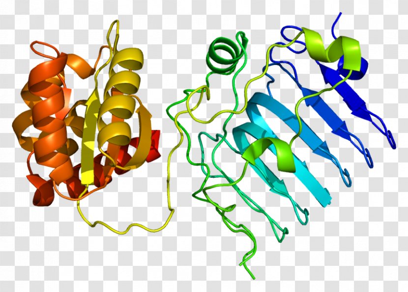 RP2 GTPase-activating Protein Gene Retinitis Pigmentosa GTPase Regulator - Cartoon - Tree Transparent PNG