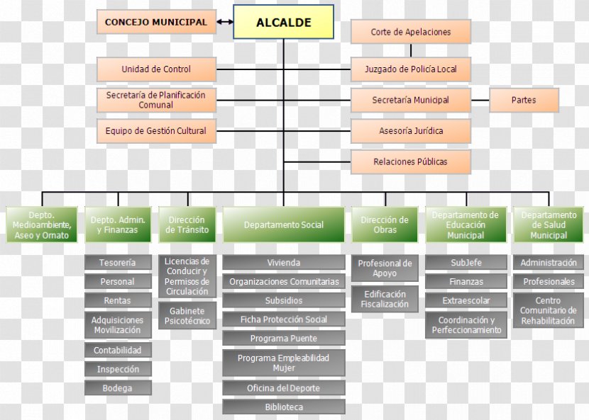 Organizational Chart Structure Municipality Information Technology - Baron Transparent PNG