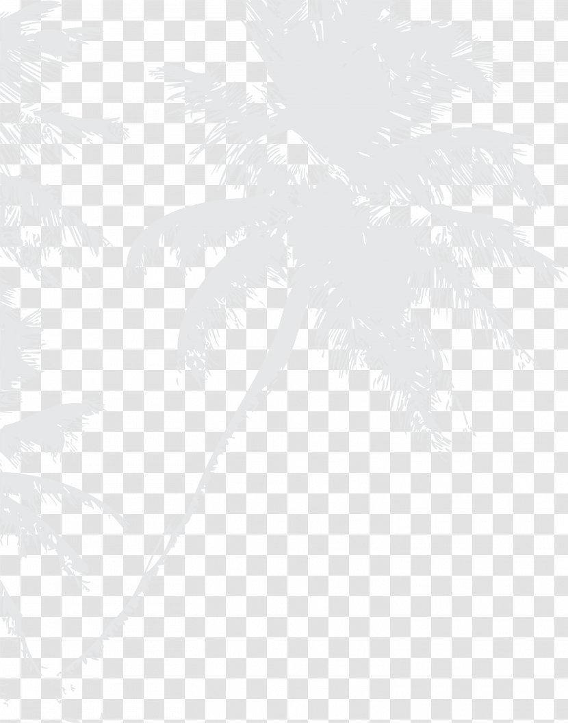 Coconut Water Grey Plant - Rectangle - Gray Transparent PNG