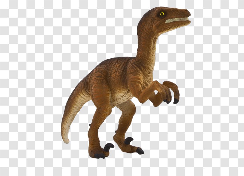 Velociraptor Tyrannosaurus Dinosaur Toy Animal - Child Transparent PNG