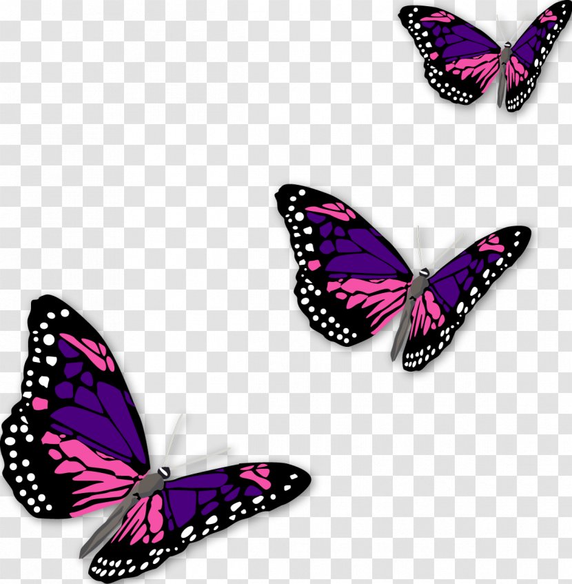 Monarch Butterfly - Pink Transparent PNG