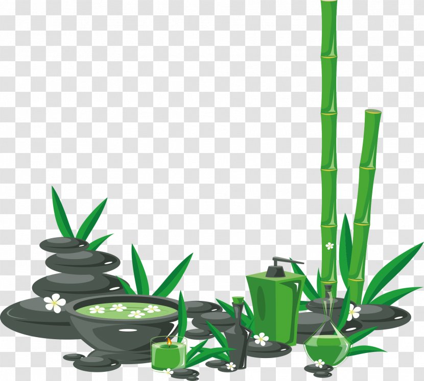Graphic Design Clip Art - Flowerpot - Vector Green Bamboo And Aloe Vera Gel Transparent PNG