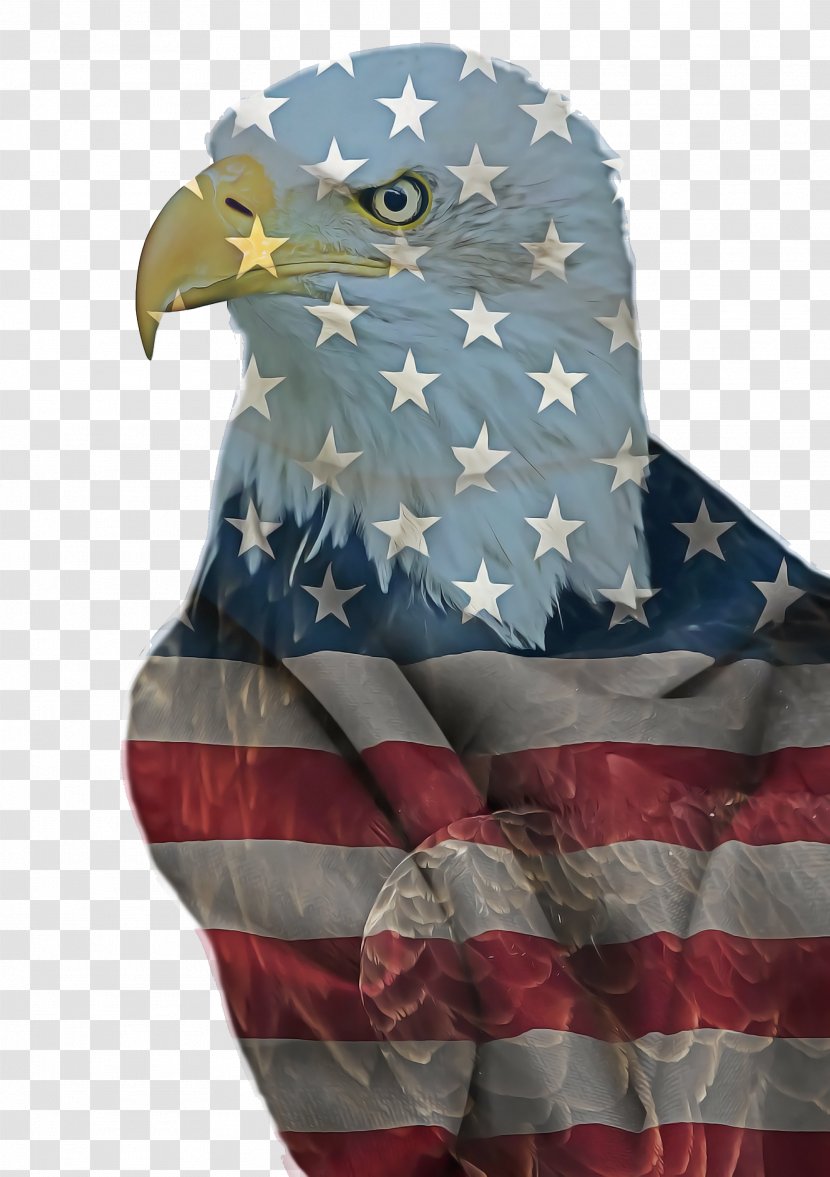 Fourth Of July Background - 4th - Scarf Sleeve Transparent PNG