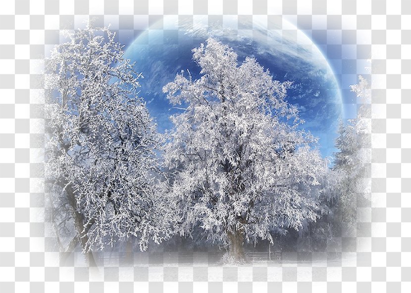 Snow Desktop Wallpaper Nature Drawing - Winter - Landscape Transparent PNG
