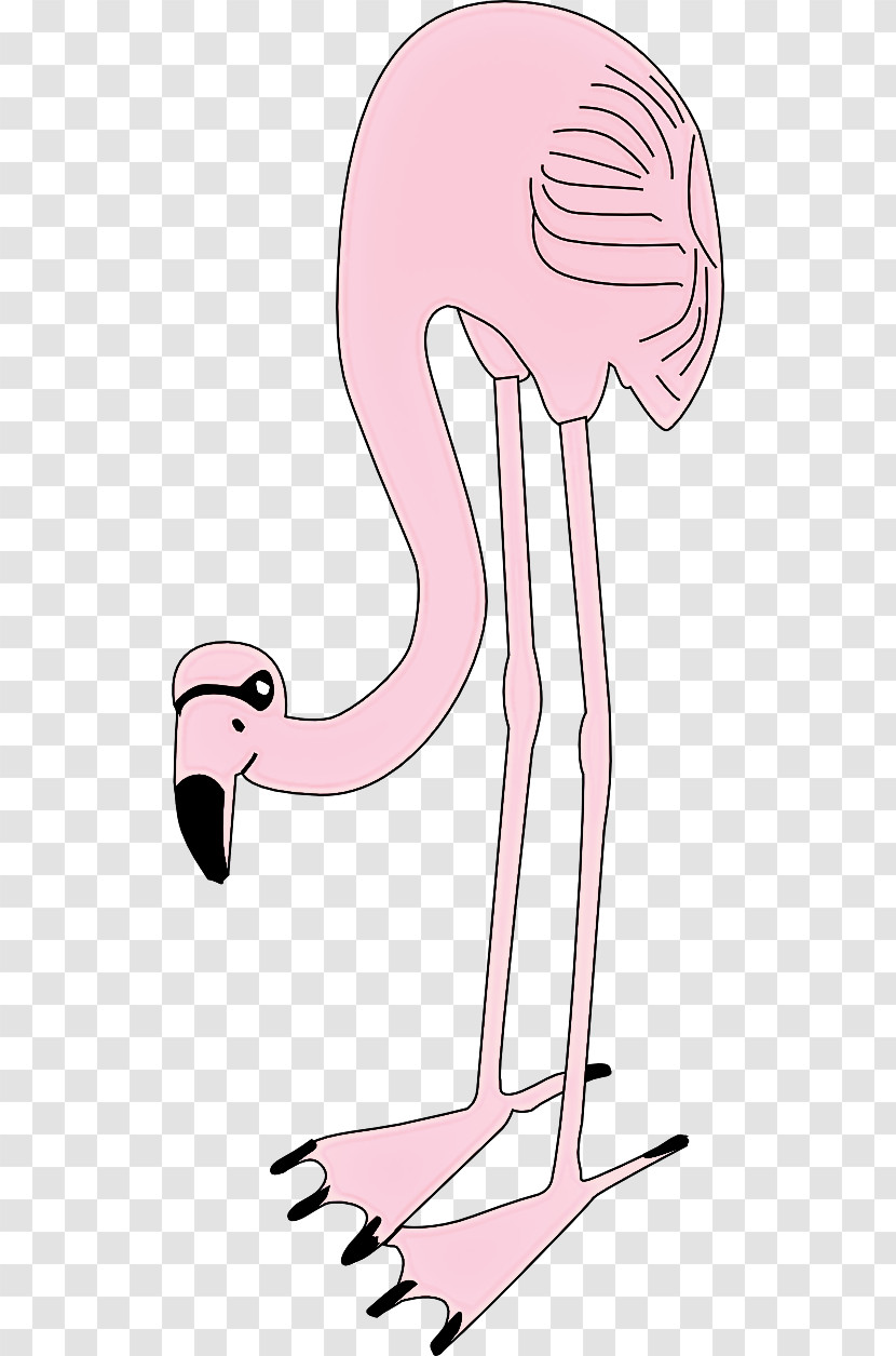 Flamingo Transparent PNG