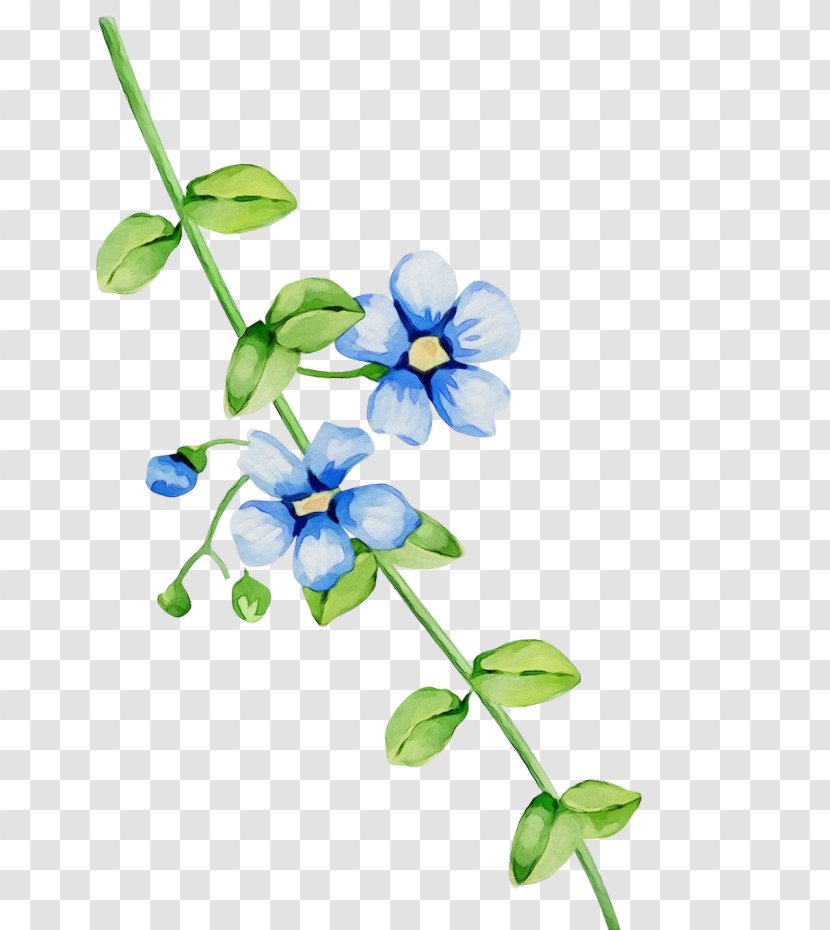 Flower Blue Plant Flowering Petal - Wet Ink - Wildflower Stem Transparent PNG