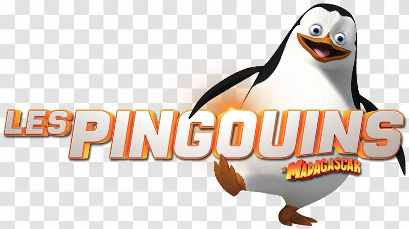 Kowalski Skipper Madagascar YouTube DreamWorks Animation - Beak - Penguins Of Transparent PNG