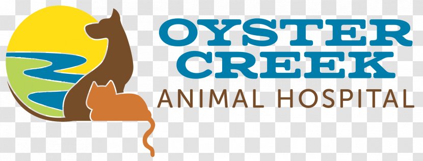 Oyster Creek Animal Hospital (Texas) Veterinarian Cat - Sugar Land - Changzhou Hongmei Park Transparent PNG