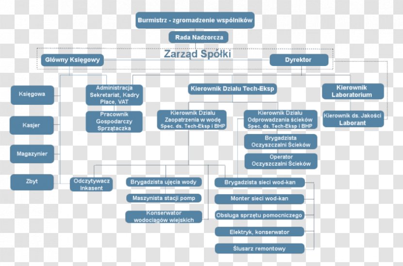 Organizational Structure Business Legal Name Private Limited Company - Multimedia Transparent PNG