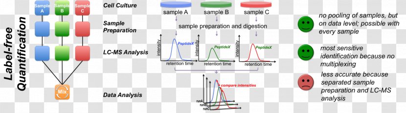 Quantitative Proteomics Zentrum Fuer Molekulare Biologie, University Of Heidelberg Mass Spectrometry Peptide Transparent PNG