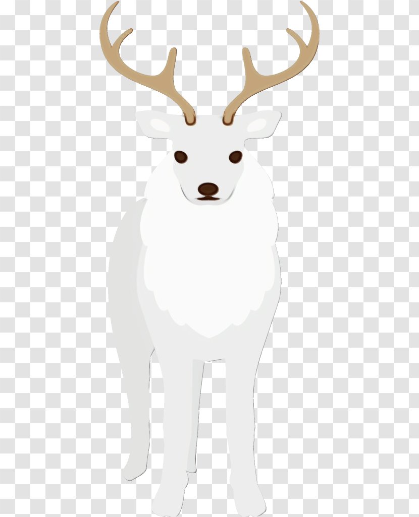 Reindeer - Fawn Cowgoat Family Transparent PNG