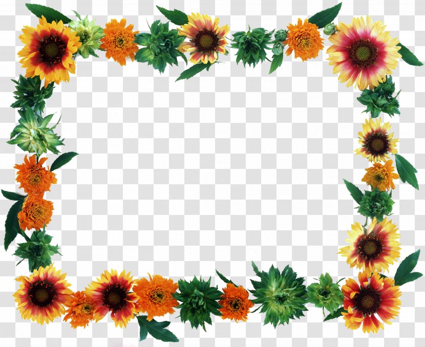 Flower Picture Frames - Chrysanthemum - Frame Transparent PNG