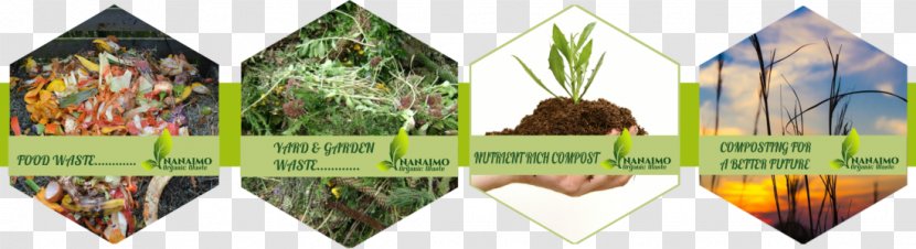 Organic Food Compost Green Waste Biodegradable - Trash Transparent PNG