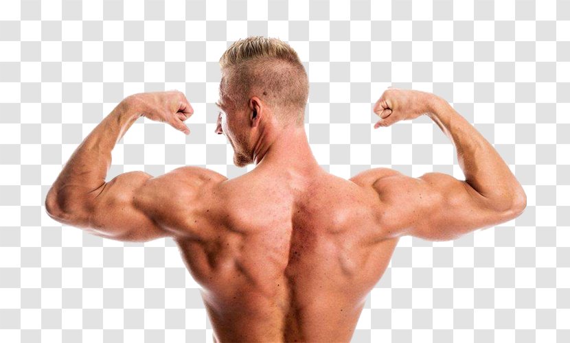 Muscle Explosion - Flower - Tree Transparent PNG