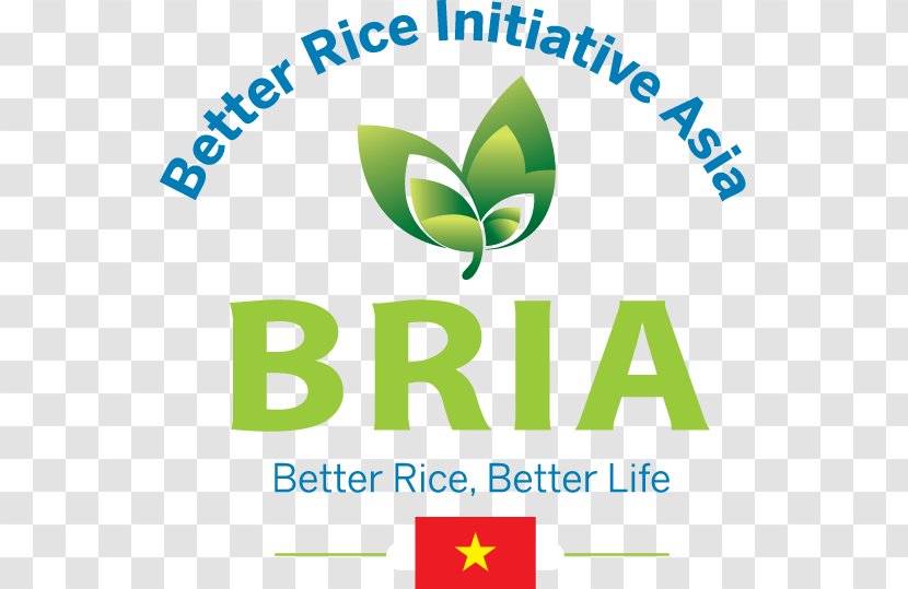Rice ข้าวไทย Agriculture Farmer - Green Transparent PNG