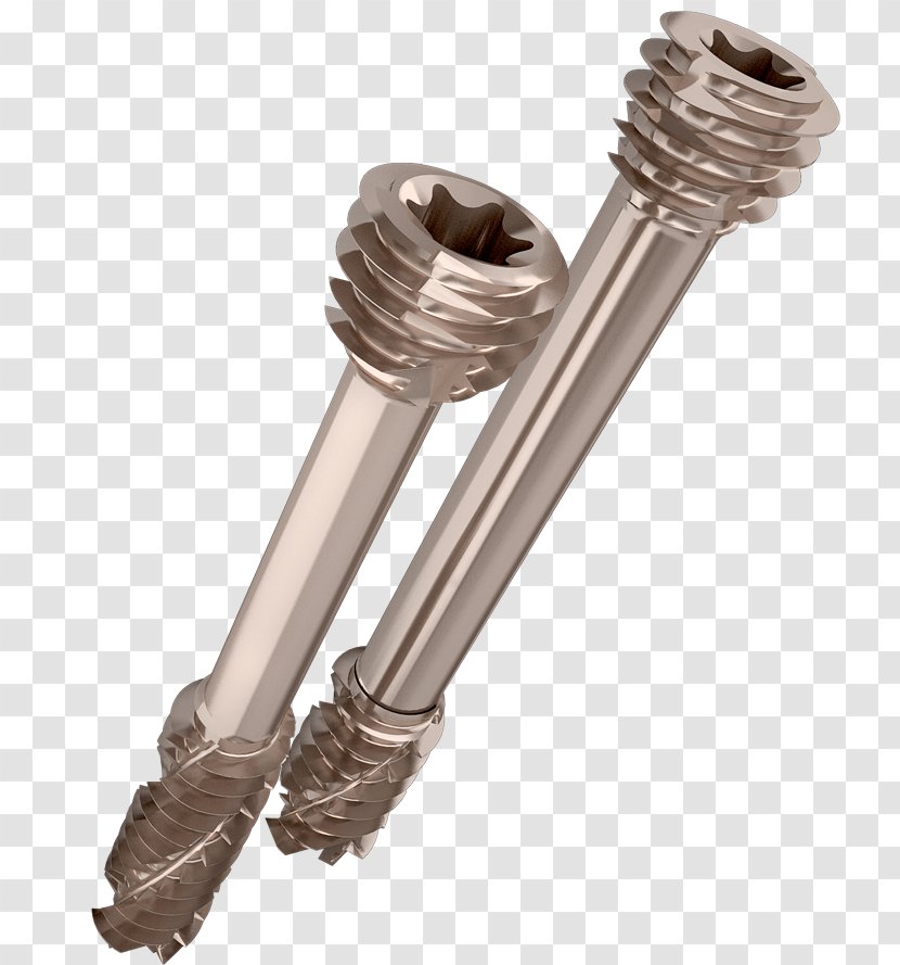 Set Screw Self-tapping Bolt Threading Transparent PNG