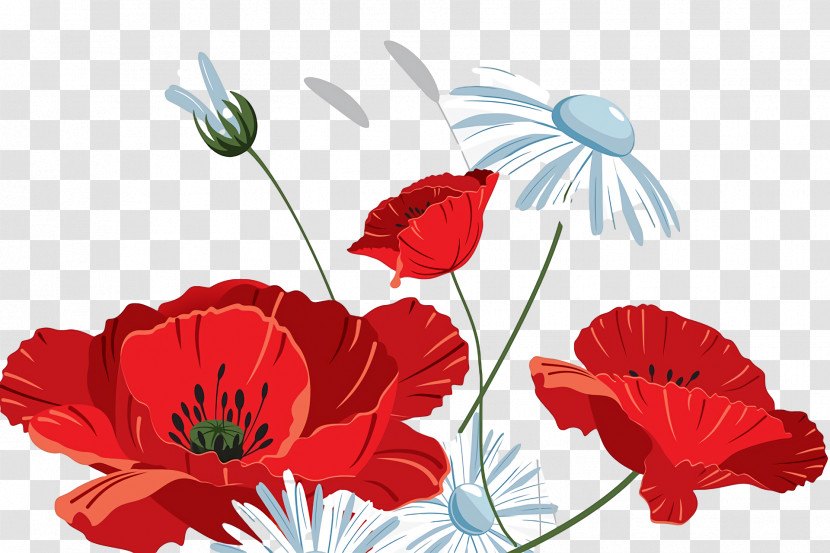 Floral Design Transparent PNG