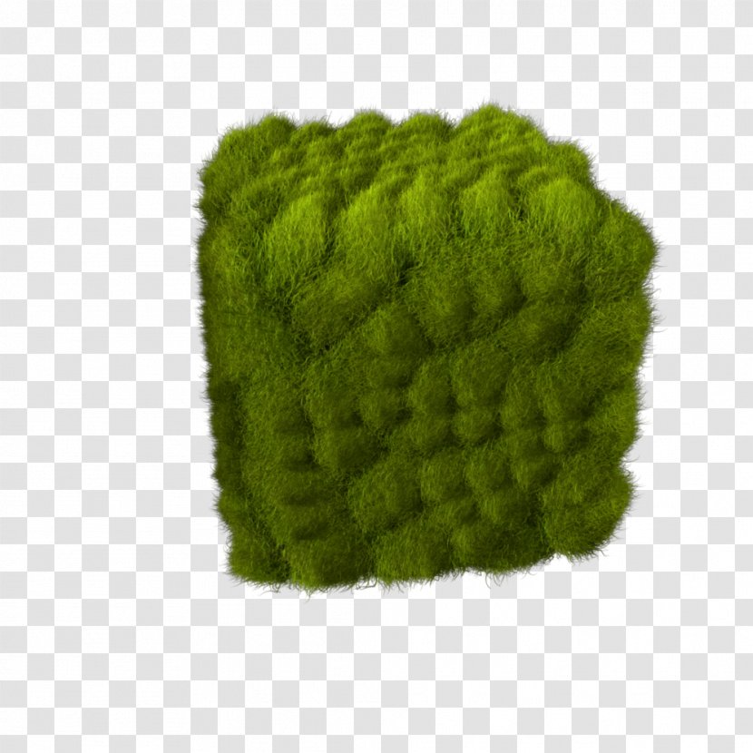 Wool - Green - Grass Transparent PNG