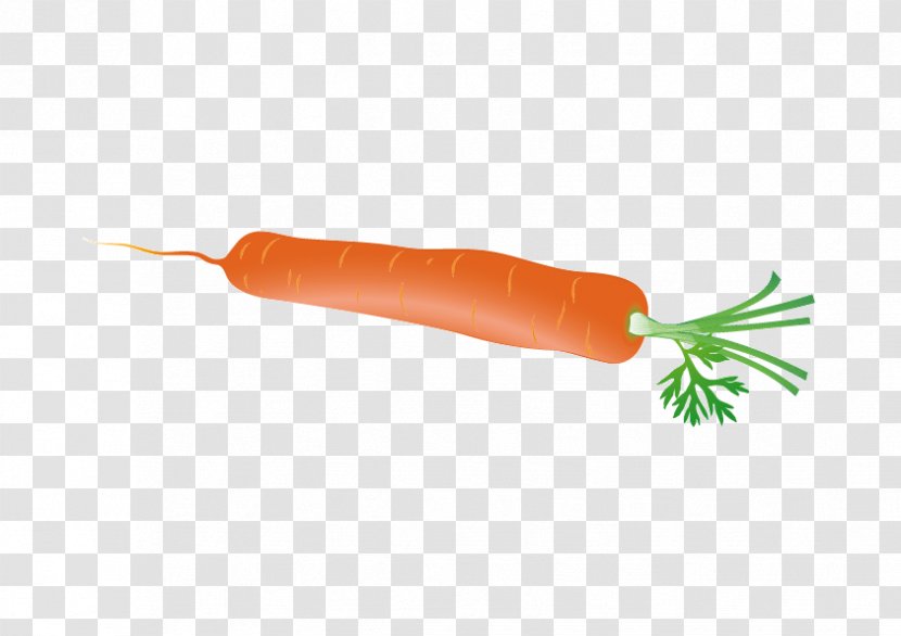Carrot Euclidean Vector Radish - Juice Transparent PNG