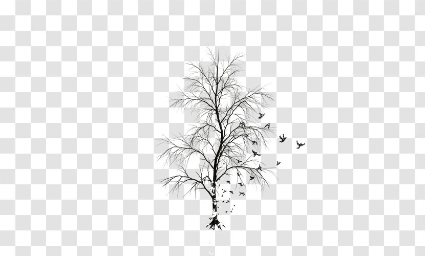 Twig White Leaf Black Pattern - Monochrome Photography - Tree Transparent PNG