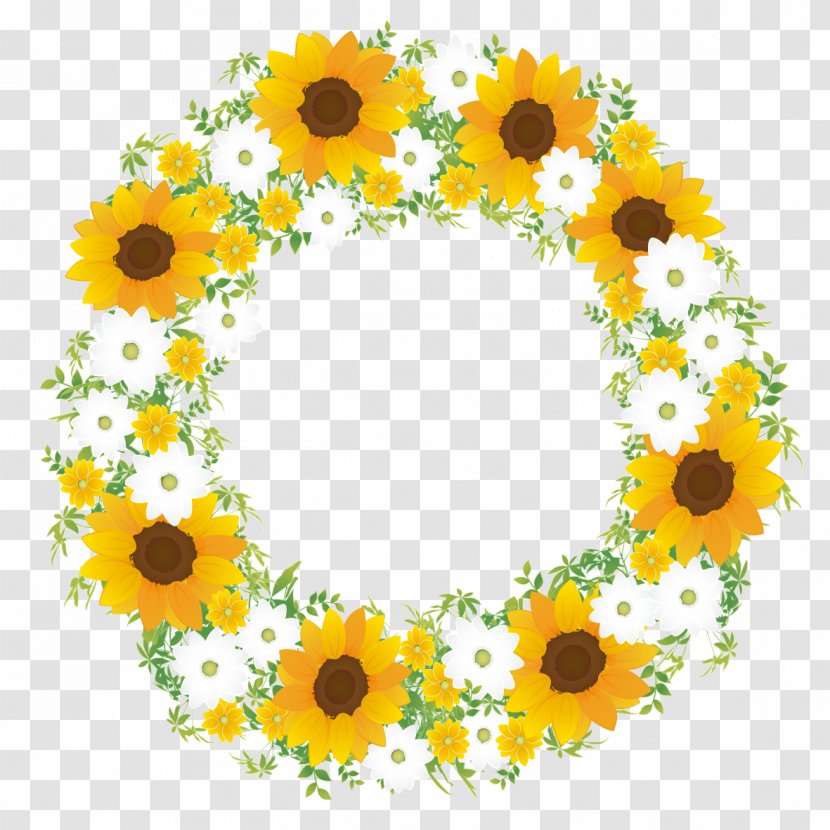 Common Sunflower Color Scheme - Flower Transparent PNG
